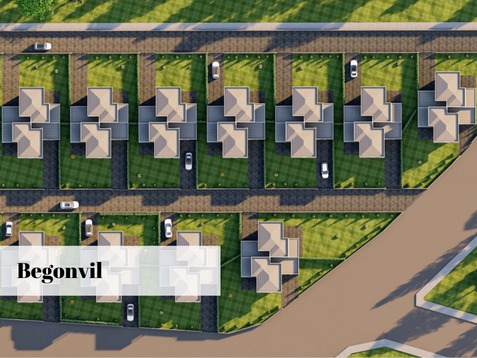 Begonvil-1